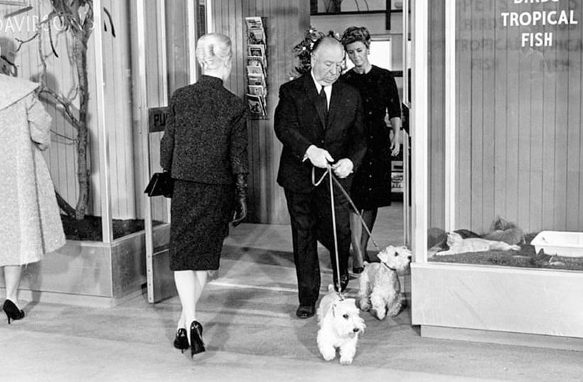 Alfred Hitchcock’s cameo in "The Birds".