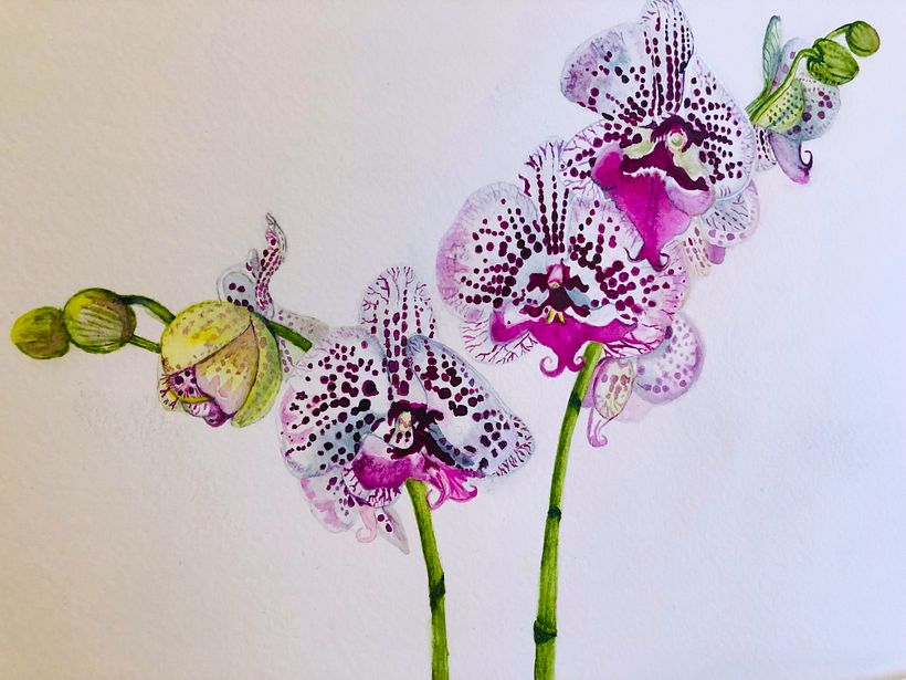 My project for course: Botanical Illustration with Watercolors 2
