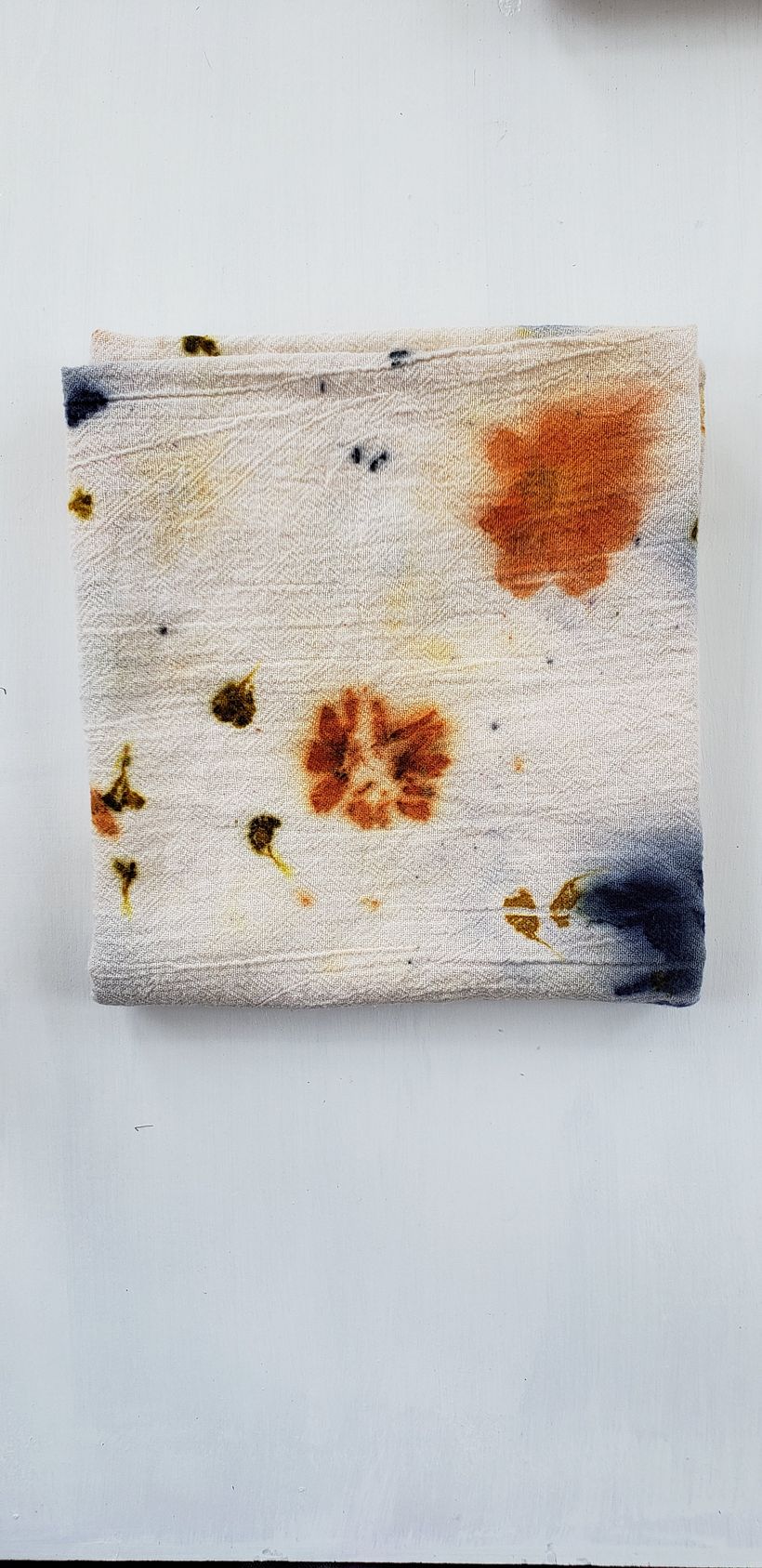 The World of Botanical Dyeing - Tejido