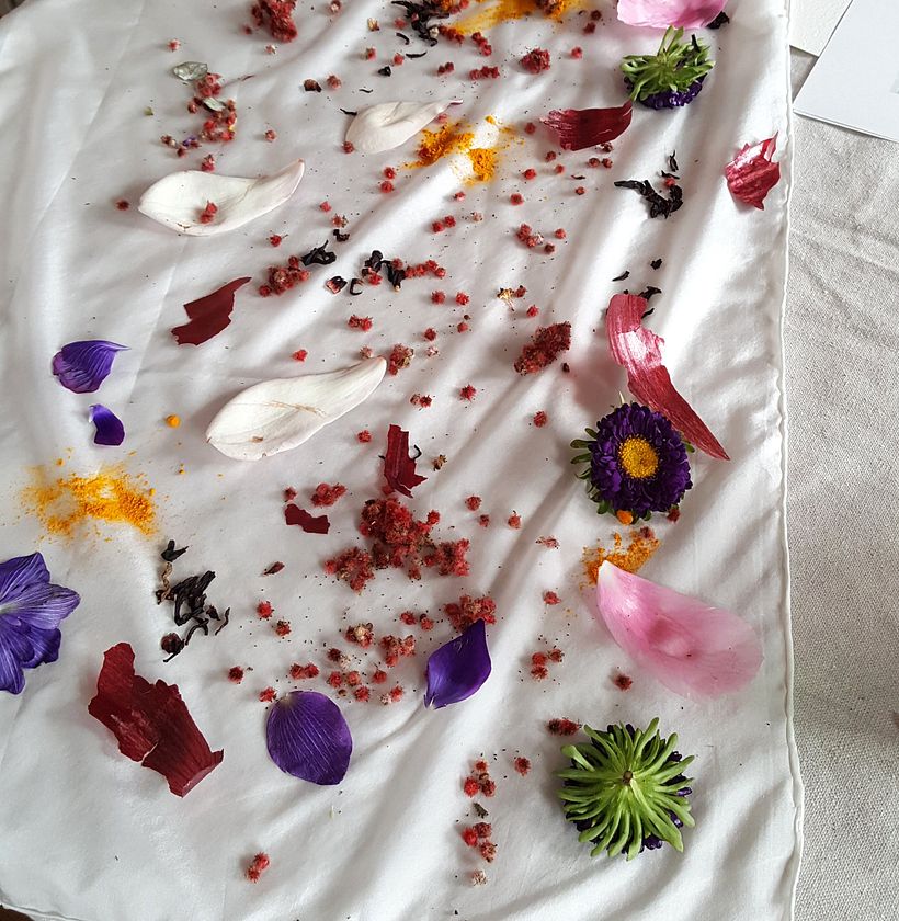 The World of Botanical Dyeing - Tejido