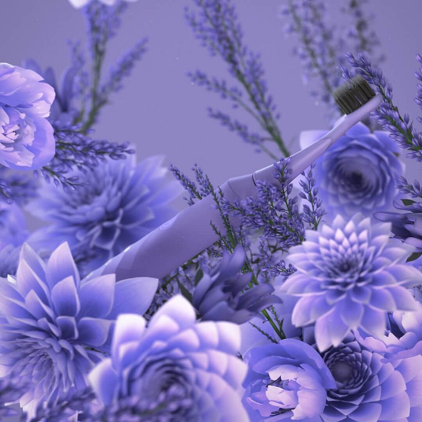 Burst Lavender 8