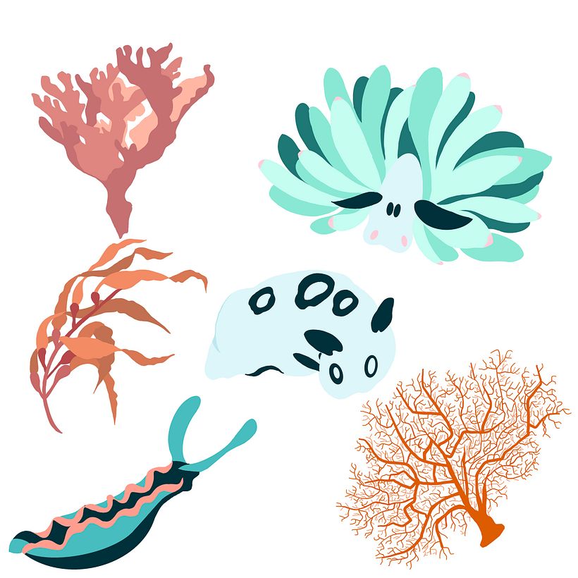 Primary Illustrations in Procreate