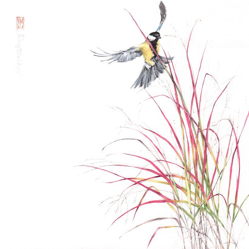 PANICUM SP. e CINCIALLEGRA (mese di gennaio), acquerello su carta intelaiata cm 30x30