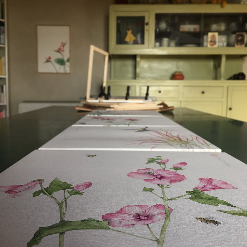 Opere per Gardenia Magazine in lavorazione