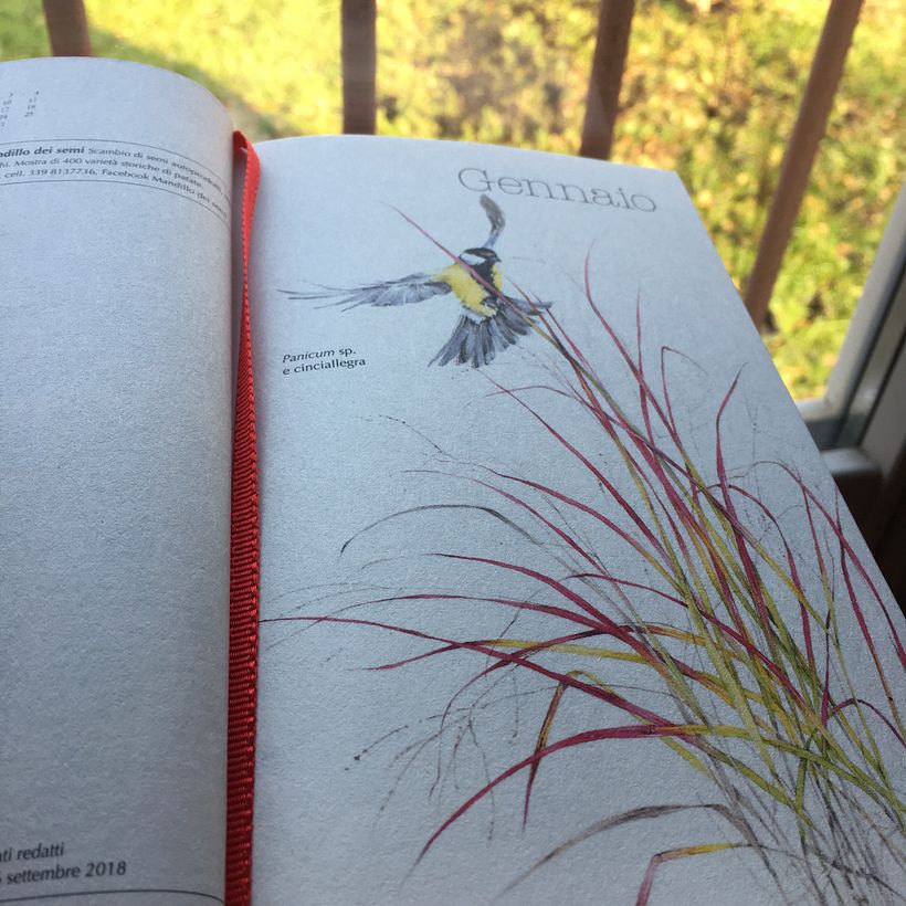 L'agenda 2020 di Gardenia Magazine