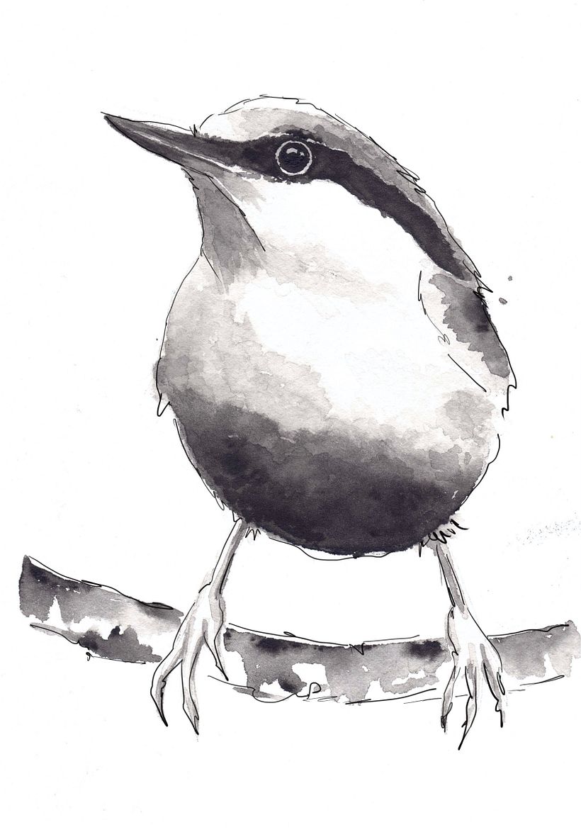 My project for course: Artistic Watercolor Techniques for Illustrating Birds 3