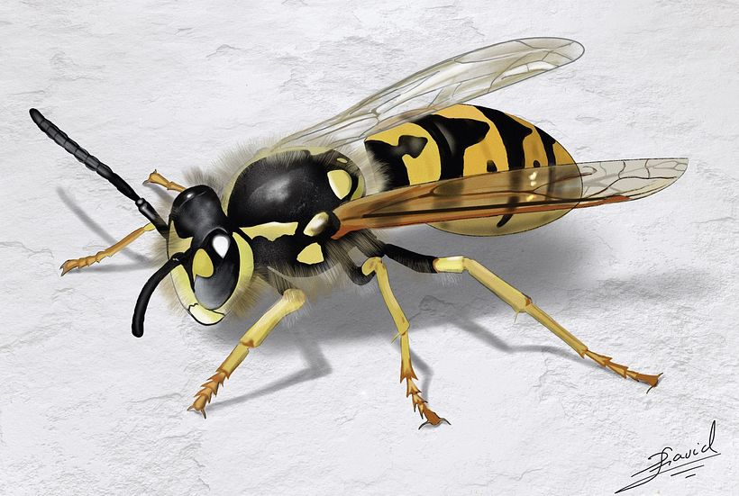 Mi Proyecto del curso: Ilustración digital con Procreate 1