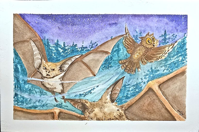 This is from my story about reckless Little owl Hugo who flies too fast.