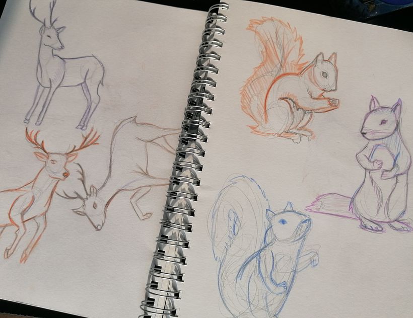 My project for course: Animal Illustration: Capturing Wildlife in a Sketchbook 6