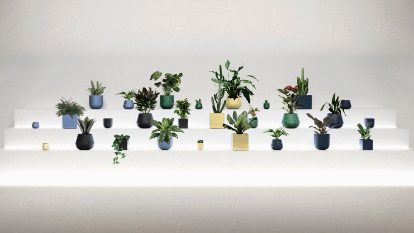 Ejemplos de decoración de Ale de la Cerda, que en Domestika imparte el curso "Diseño de interiores con plantas desde cero".