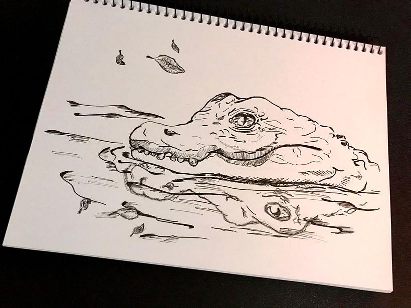 Meu projeto do curso: Sketching diário para inspiração criativa 5