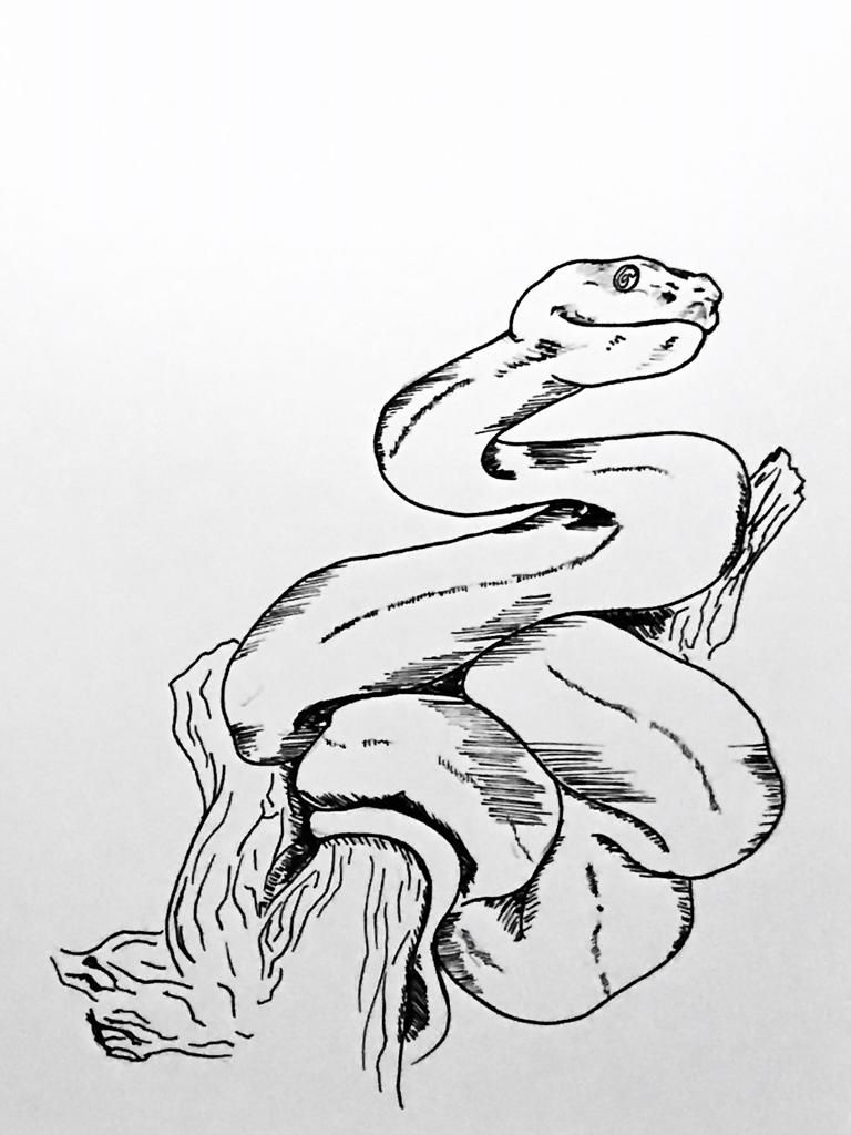 Meu projeto do curso: Sketching diário para inspiração criativa 6