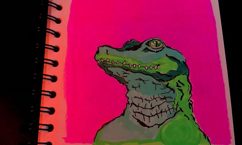 Meu projeto do curso: Sketching diário para inspiração criativa 8