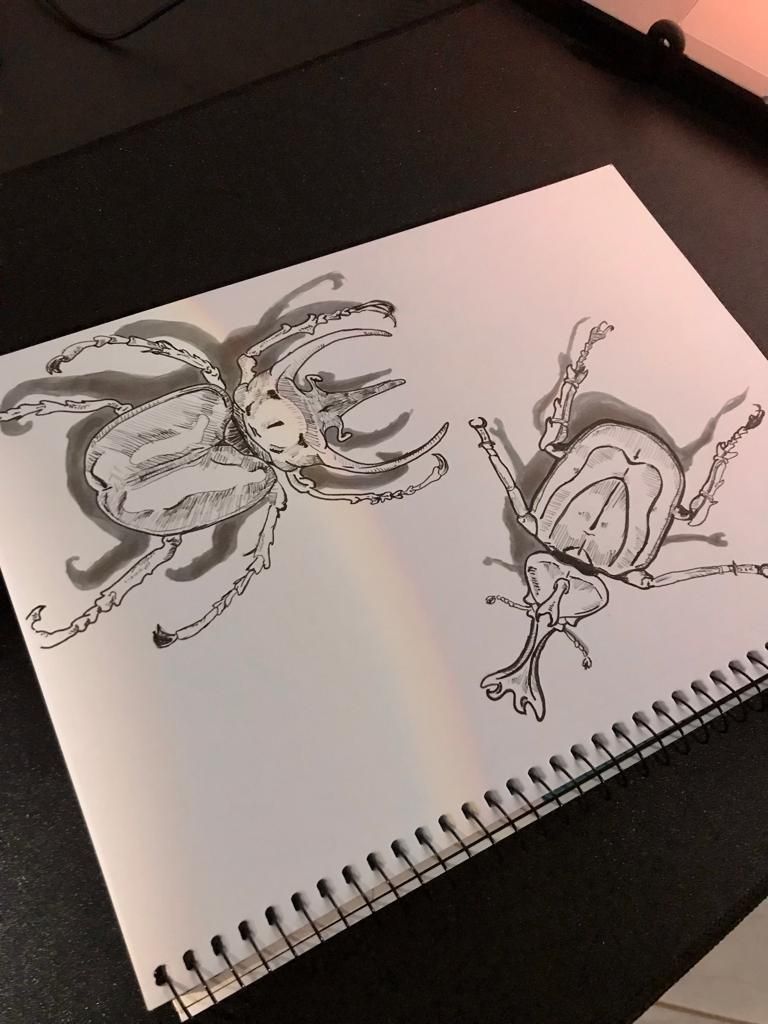 Meu projeto do curso: Sketching diário para inspiração criativa 10