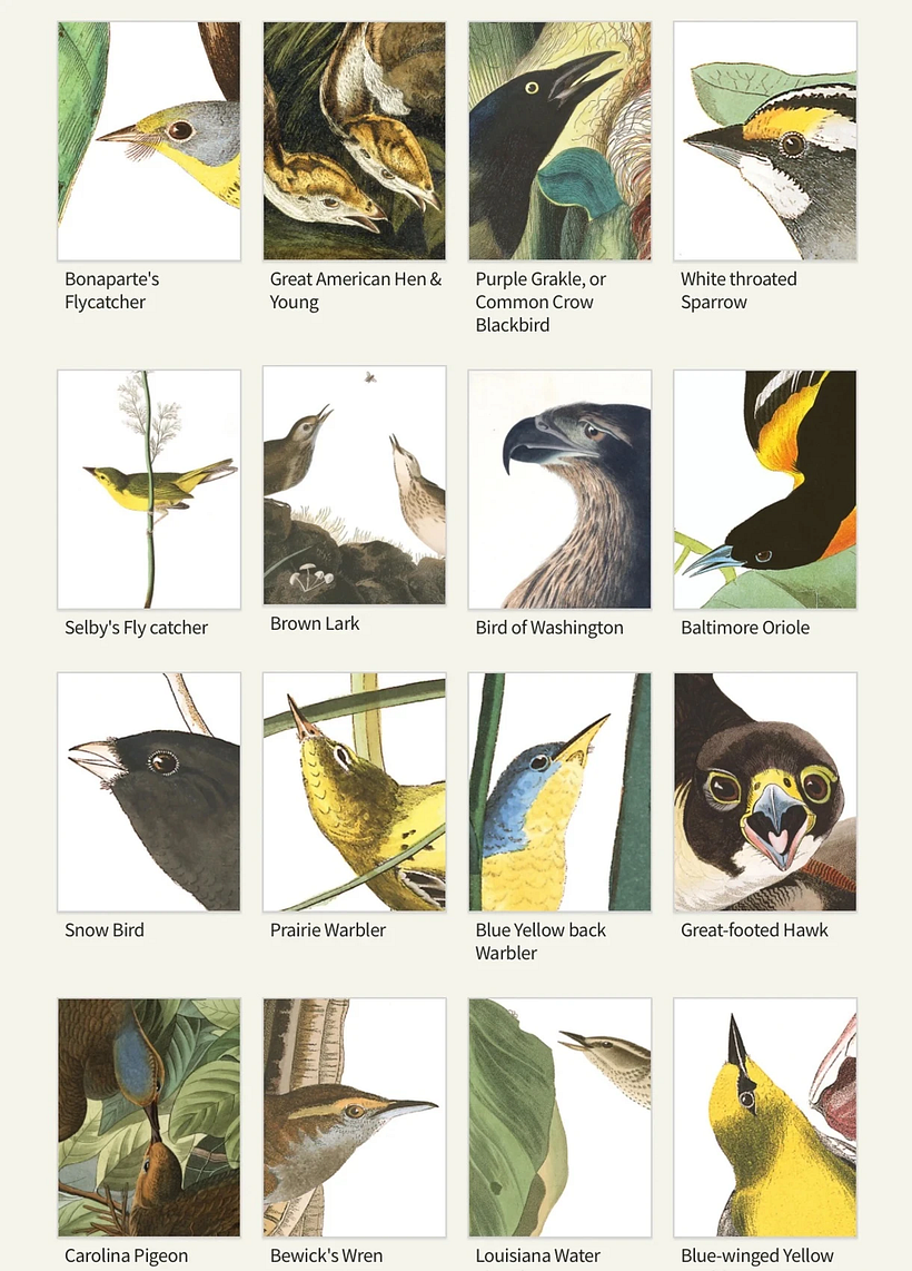 Einige der Aquarelle von Vögeln, die du herunterladen kannst.