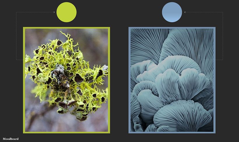 Inspiration for the colors and shapes used in the visualization