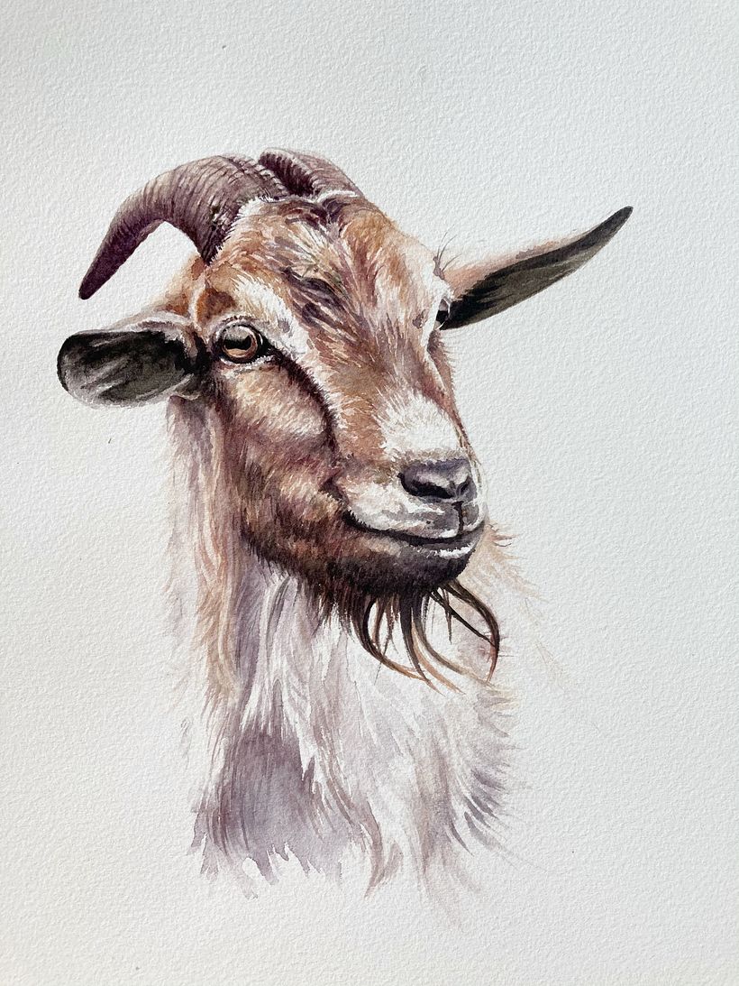 Após a segunda e terceira lavagem