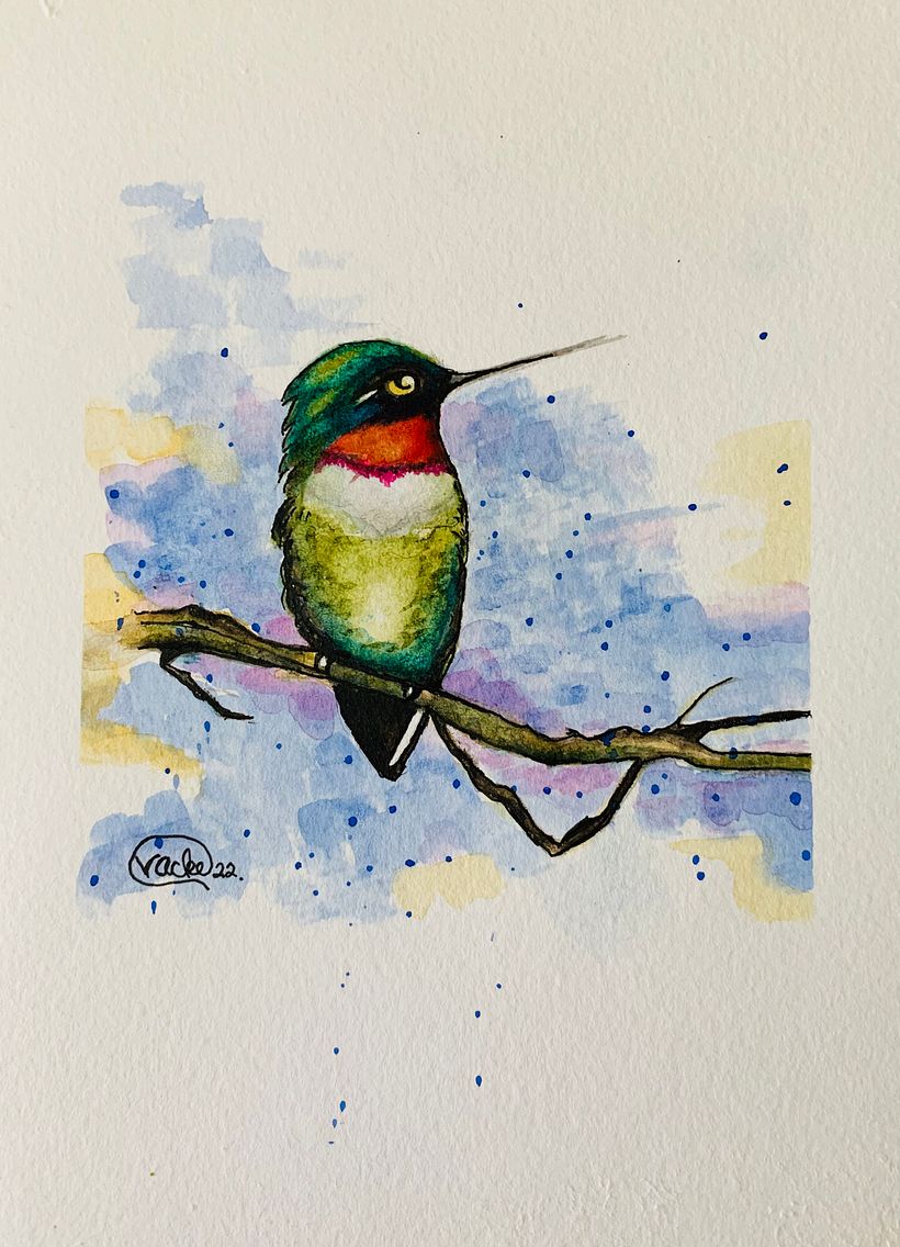 Ruby throated hummingbird: watercolor, 6 x 8 - 2022
