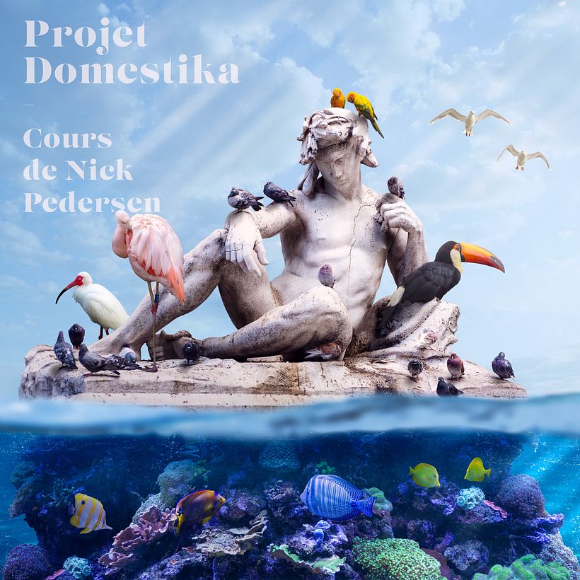 Mon projet du cours : Collage numérique sur Photoshop : composition et effets visuels 2