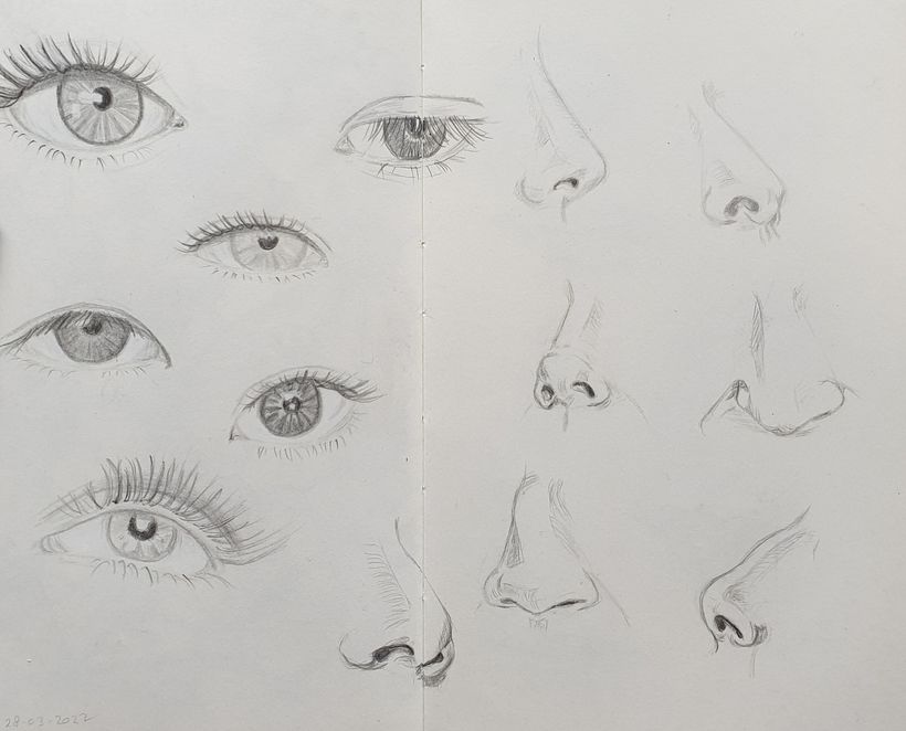 Eyes and noses
