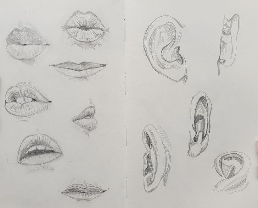 mouths and ears