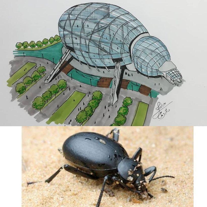 Releituras com perspectiva para desenhos arquitetônicos 5