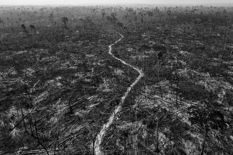 La deforestación masiva es evidente en Apuí, un municipio al sur de la Amazonía. Lalo de Almeida para Folha de São Paulo.