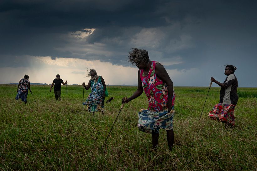 A group of Narwarddeken women elders hunt for turtles. Photo: Matthew Abbott, National Geographic.