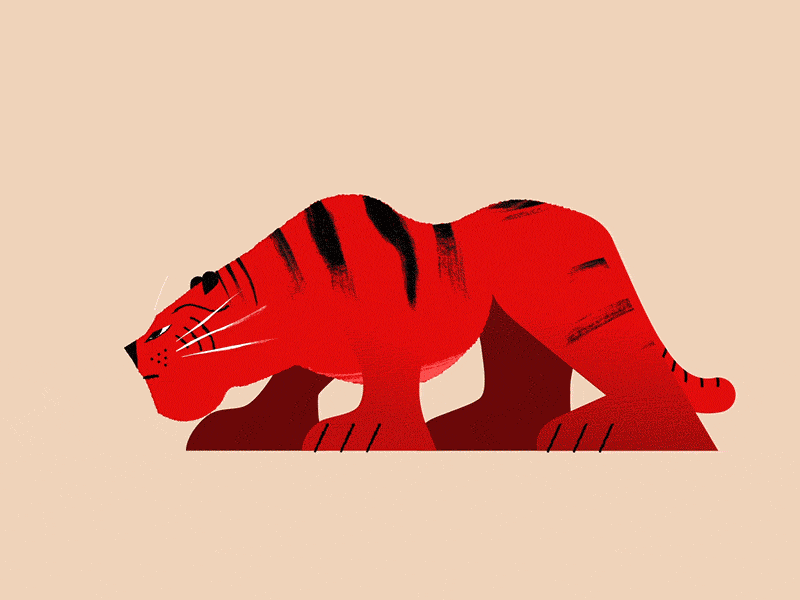 Ilustración Animada - Now  4