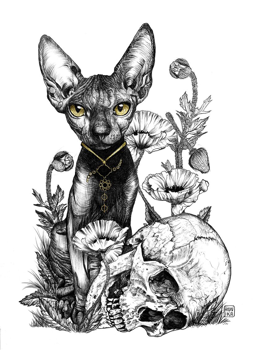 My project for course: Naturalist Illustration with Ballpoint Pen  3