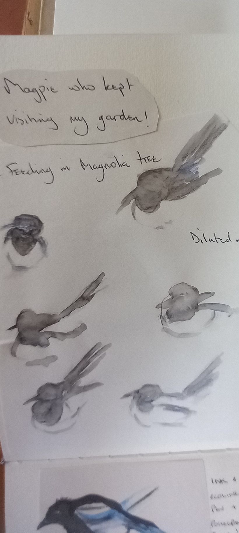 My project for course: Illustrating Nature: A Creative Exploration 1