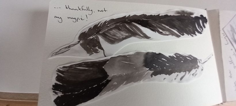 My project for course: Illustrating Nature: A Creative Exploration 2