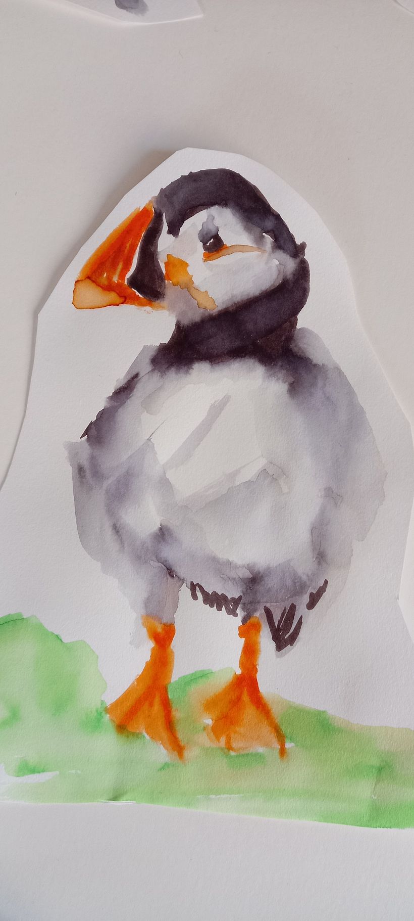 My project for course: Illustrating Nature: A Creative Exploration 3