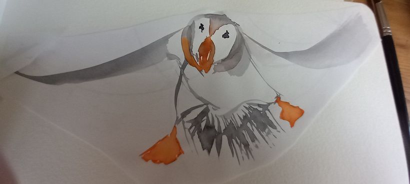 My project for course: Illustrating Nature: A Creative Exploration 4