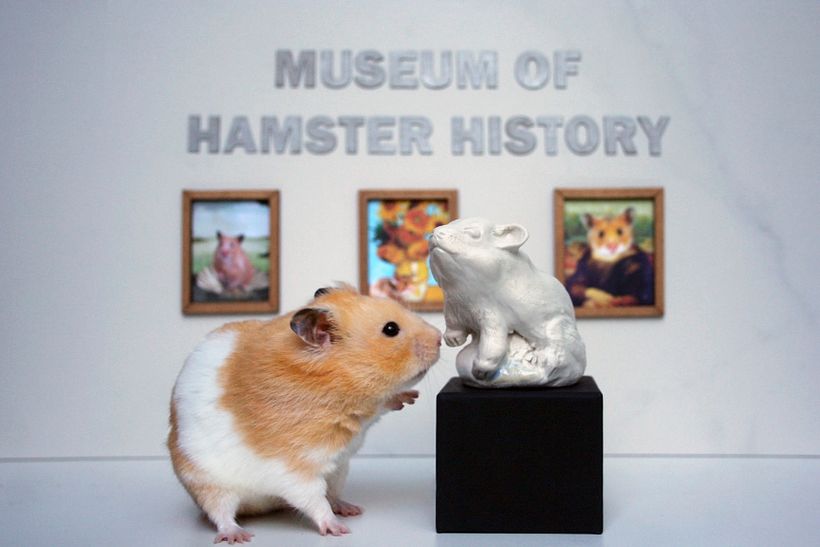 Martin the Hamster 1