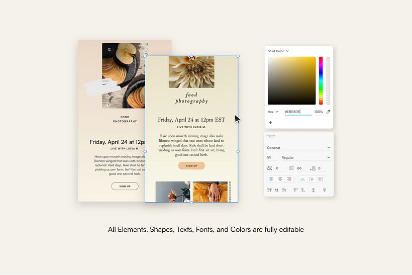 Thyme Newsletter Templates 13