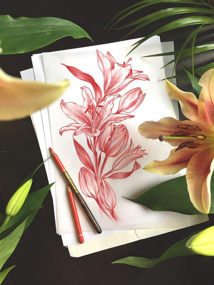 Sketchbook 7