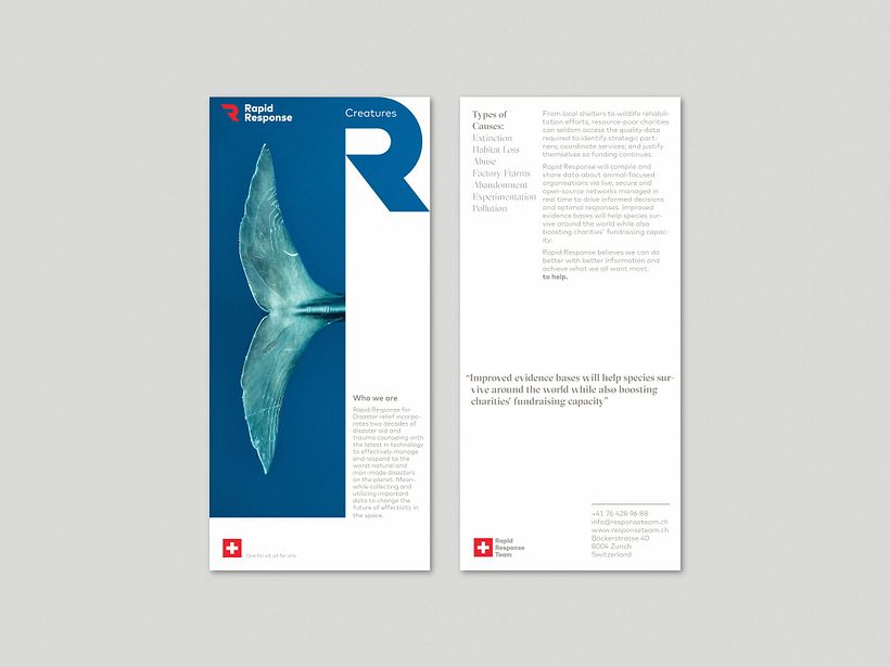 Rapid Response 2