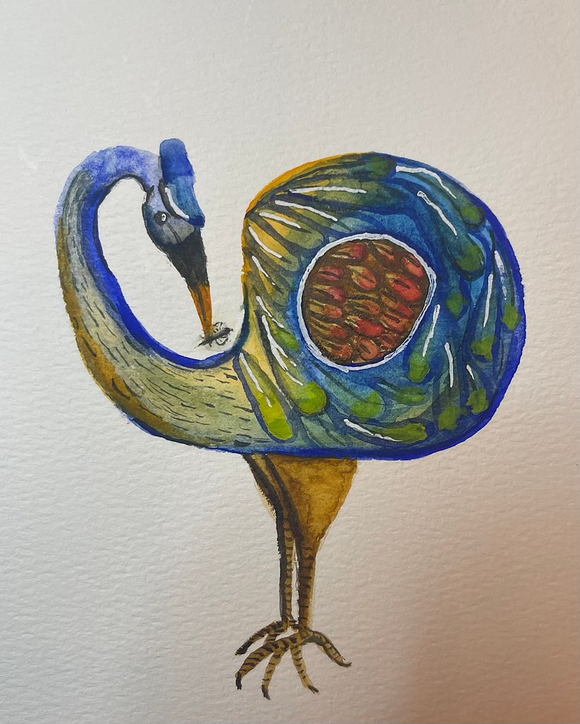 Bird watercolor 