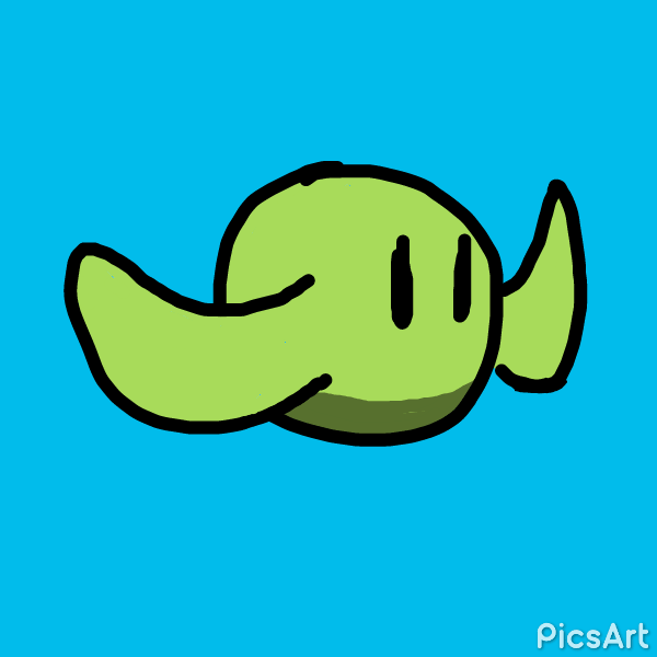 Animación // Animation 2