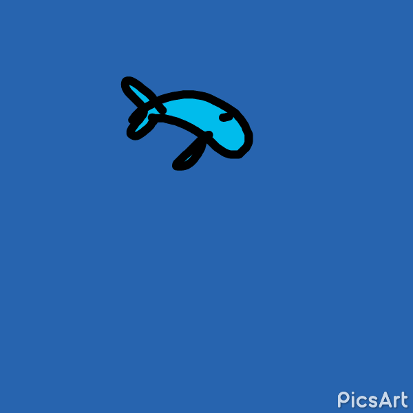 Animación // Animation 3