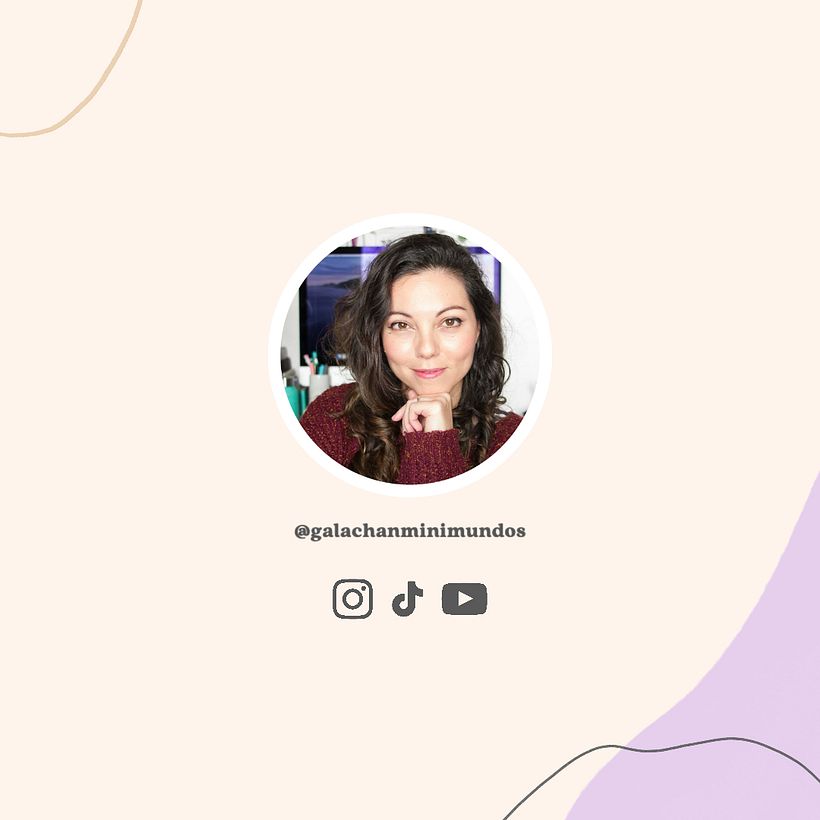 Estrategia de marca en Instagram para @galachanminimundos 6