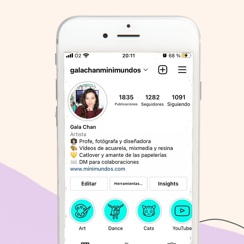Estrategia de marca en Instagram para @galachanminimundos 7