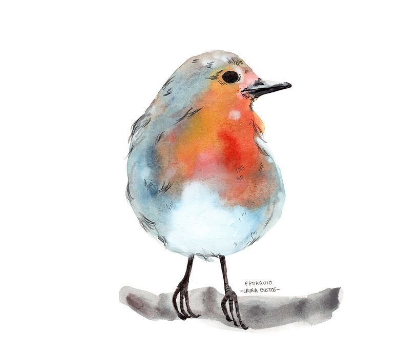 Proyecto personal de ilustración. Pájaros  2