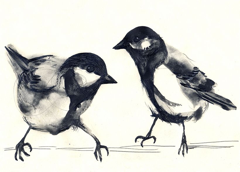 Proyecto personal de ilustración. Pájaros  3