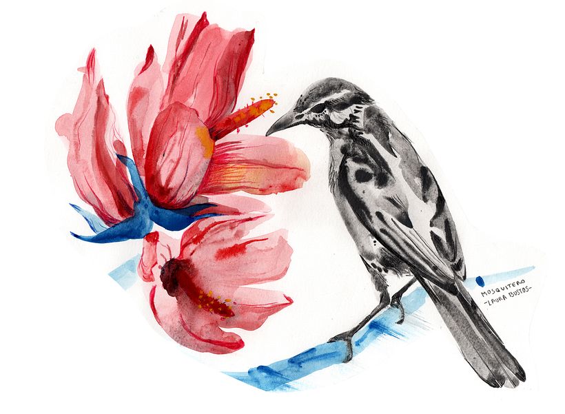 Proyecto personal de ilustración. Pájaros  4