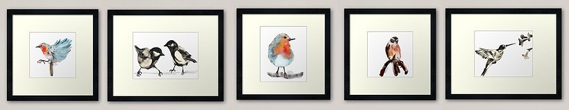 Proyecto personal de ilustración. Pájaros  11