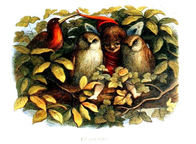 A magical woodland scene from Free Vintage Illustrations, below.