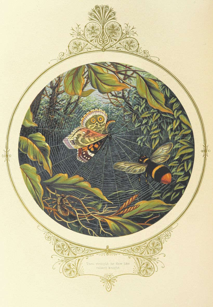 Digitized image from "Fairy Mary's Dream. By A. F. L. (1870), via The British Library.