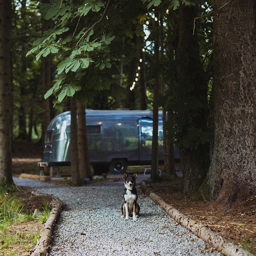 Cabañas y casas de campo Glen Dye 7